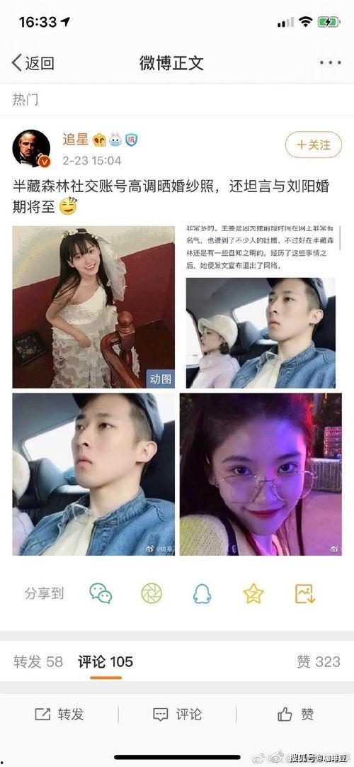 娱乐圈吃瓜猪头
